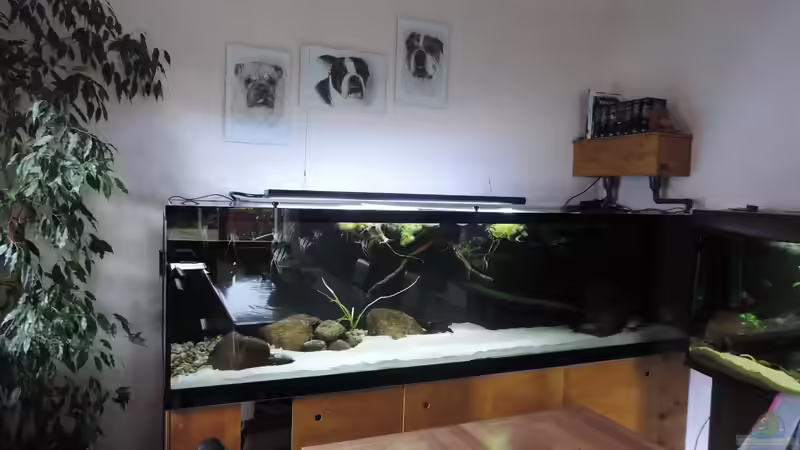 Aquarium Namenlos von Fichte (33)