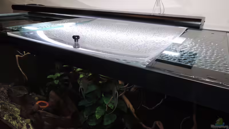 Aquarium Namenlos von Fichte (4)