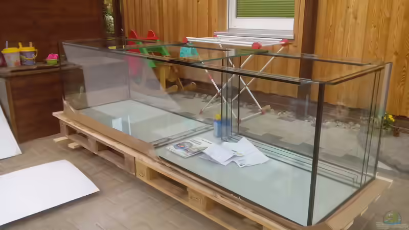 Aquarium Namenlos von Fichte (45)