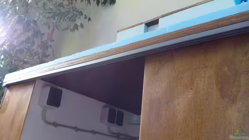 Aquarium Namenlos von Fichte (47)