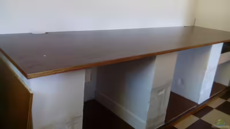 Aquarium Namenlos von Fichte (54)