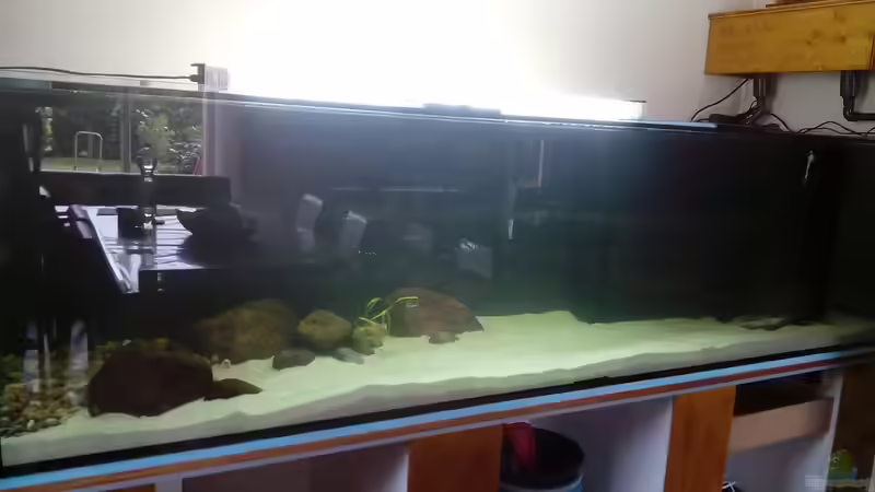 Aquarium Namenlos von Fichte (58)