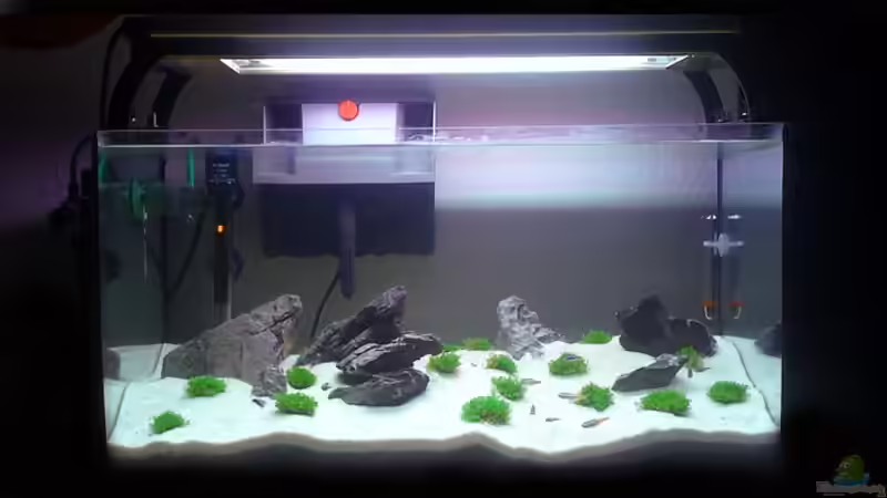 Aquarium Namia von Getreal (4)