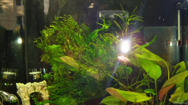 Aquarium Nano 2 von Poldi1981 (2)