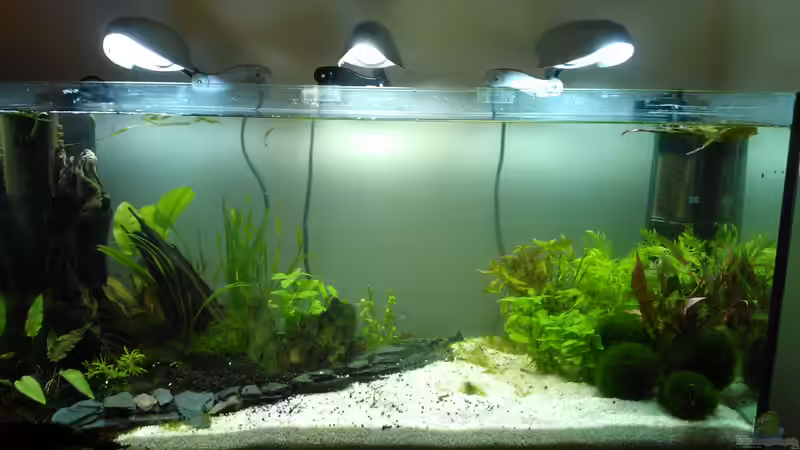 Aquarium nano 30l--96l von madapusa (10)