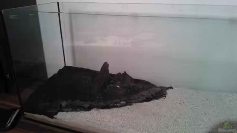 Aquarium nano 30l--96l von madapusa (8)