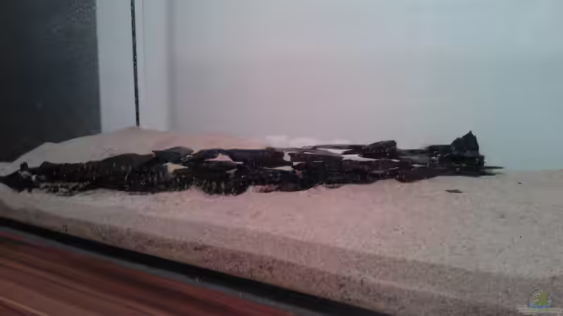 Aquarium nano 30l--96l von madapusa (8)