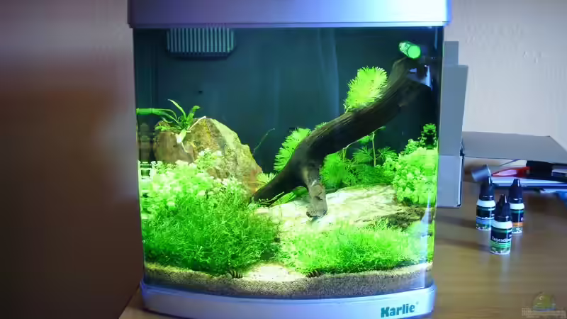 Aquarium Nano Becken von Maggus (2)