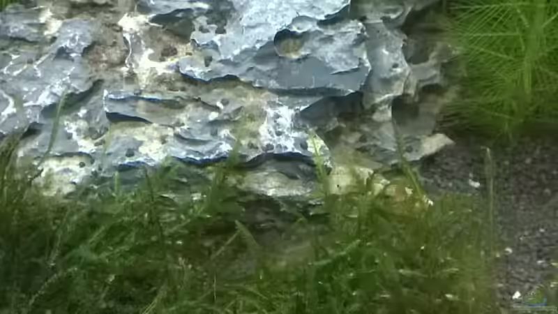 Aquarium Nano Becken von Nano73 (10)