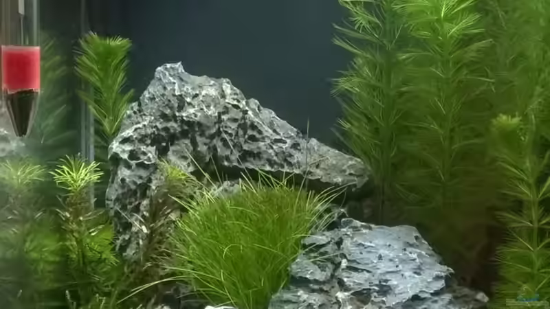 Aquarium Nano Becken von Nano73 (9)