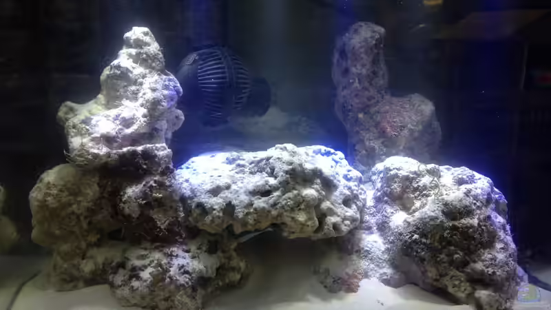 Aquarium Nano Projekt Firma von kutlesch (2)