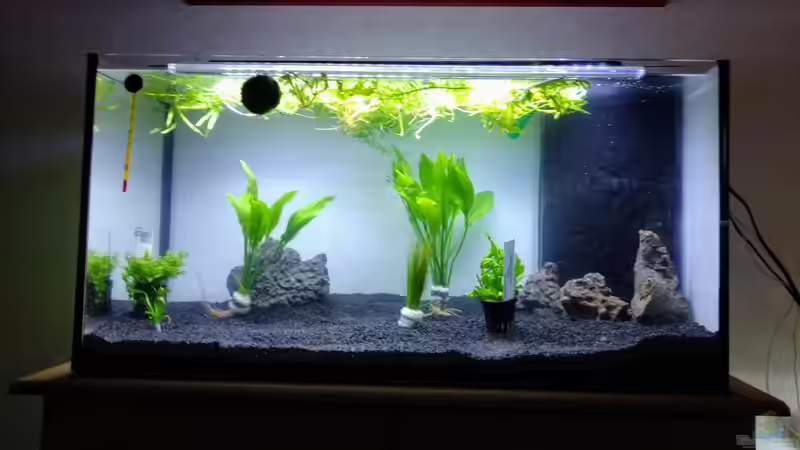 Aquarium NanoOase von Mike Steidl (10)