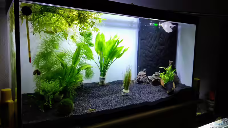 Aquarium NanoOase von Mike Steidl (11)