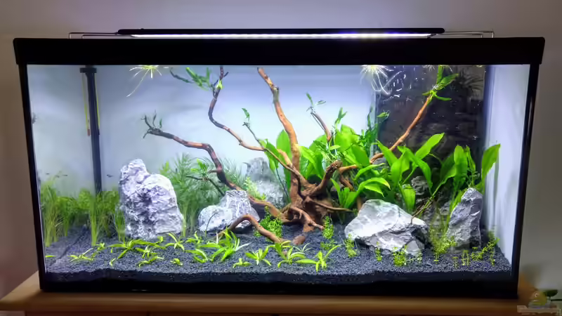 Aquarium NanoOase von Mike Steidl (7)