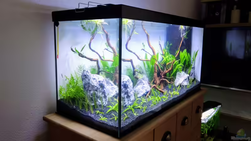 Aquarium NanoOase von Mike Steidl (8)