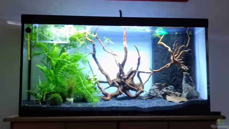 Aquarium NanoOase von Mike Steidl (9)
