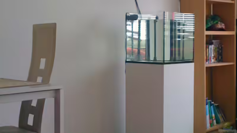 Aquarium NanoReef von Hai Dang Ngo (10)