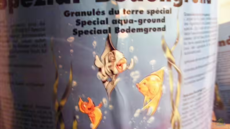 Aquarium Natur of Dreams Ogowe von Falk (15)