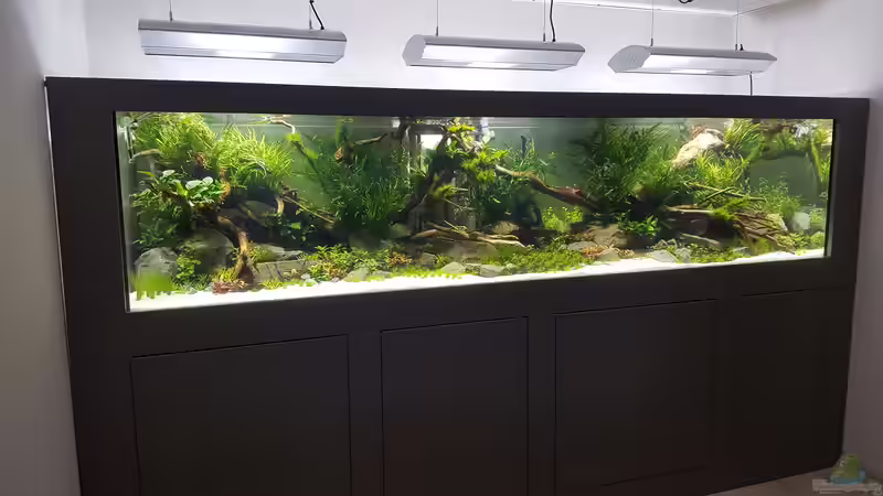 Aquarium Naturaquarium Aquascape von Sven Oelze (2)