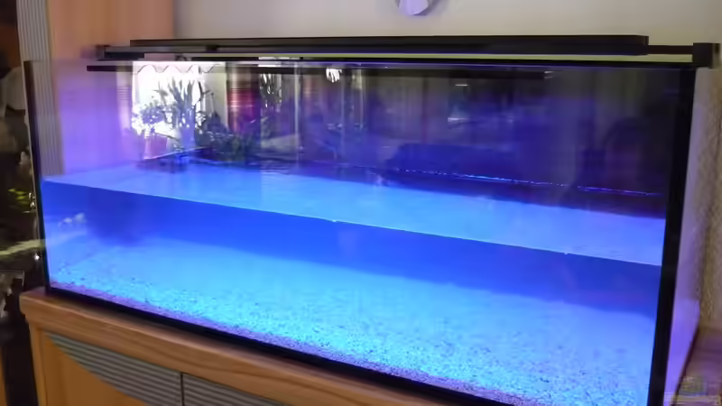 Aquarium Nautilus von Red ( Jürgen ) (3)