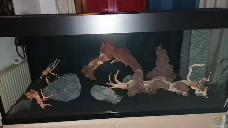 Aquarium Neon von Antschi (2)