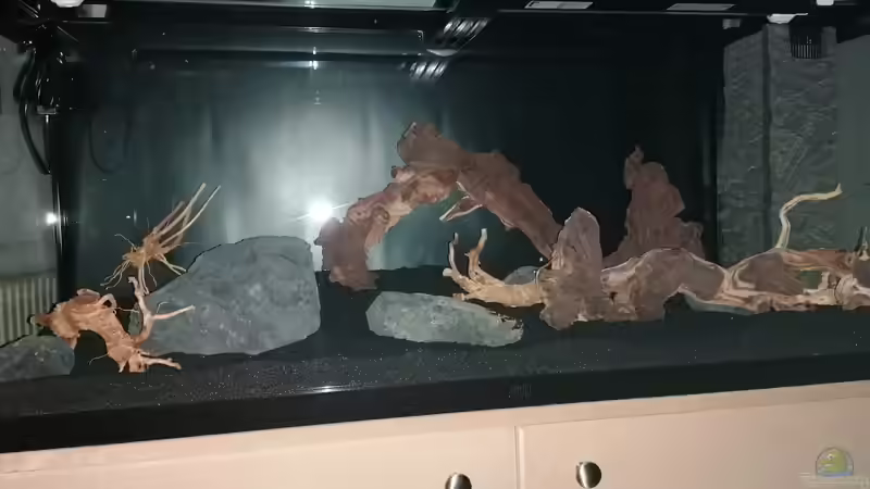 Aquarium Neon von Antschi (3)