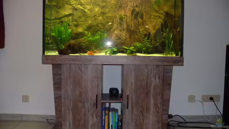 Aquarium Neueinrichtung nach Umzug von Randsteinwetzer (4)