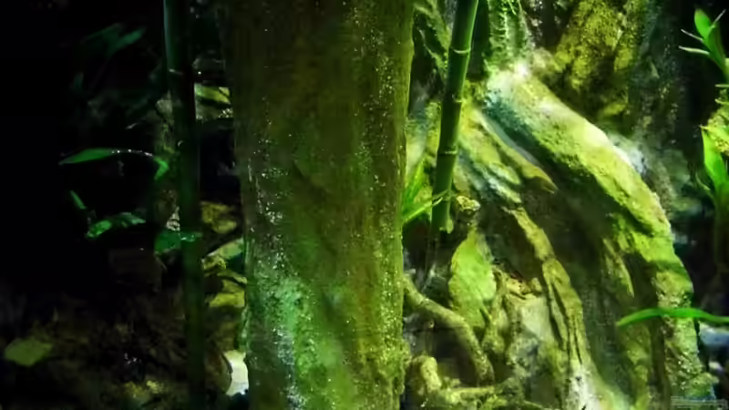 Aquarium New Underwater World von snooze (15)