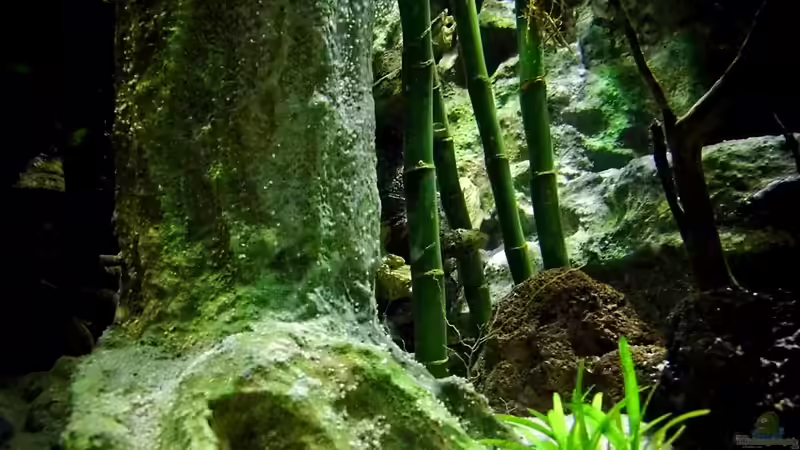 Aquarium New Underwater World von snooze (16)