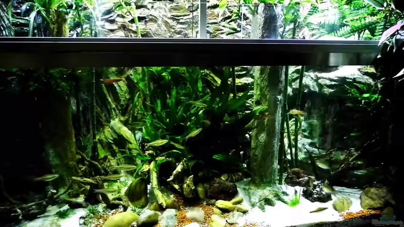 Aquarium New Underwater World von snooze (20)