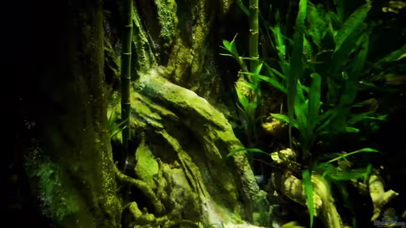 Aquarium New Underwater World von snooze (21)