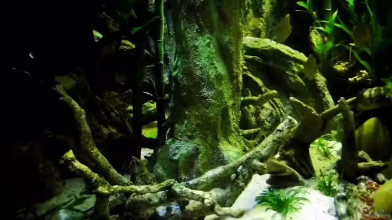 Aquarium New Underwater World von snooze (22)