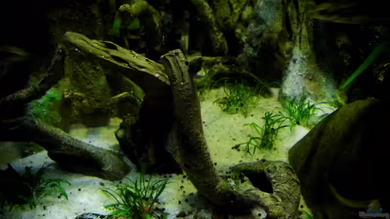 Aquarium New Underwater World von snooze (23)