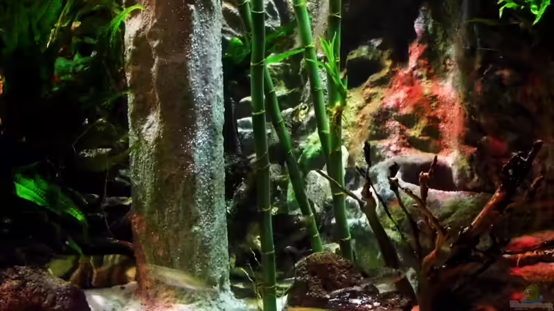 Aquarium New Underwater World von snooze (27)