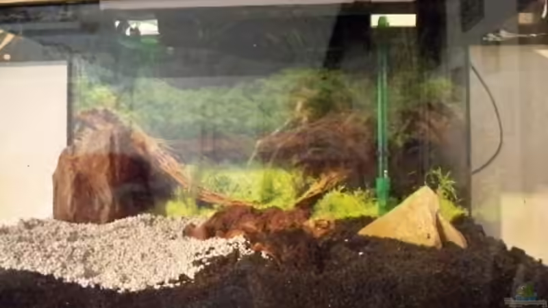 Aquarium New von Pätti (4)