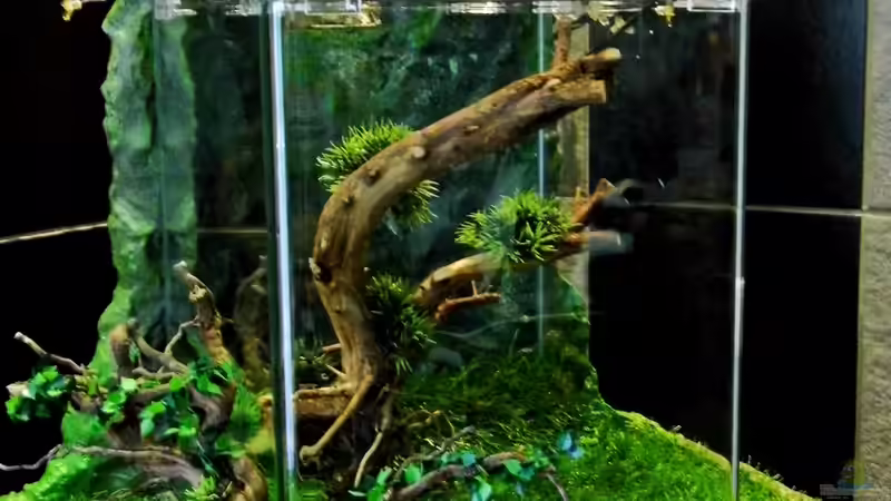 Aquarium NEW WAY von snooze (2)