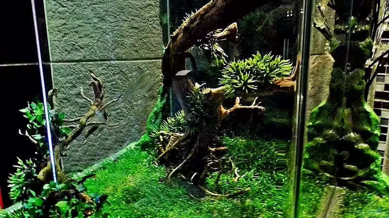 Aquarium NEW WAY von snooze (3)