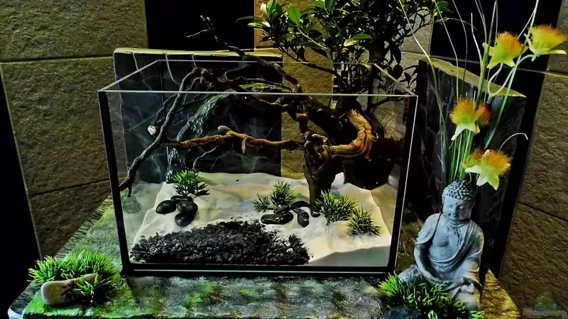 Aquarium NEW WAY von snooze (6)