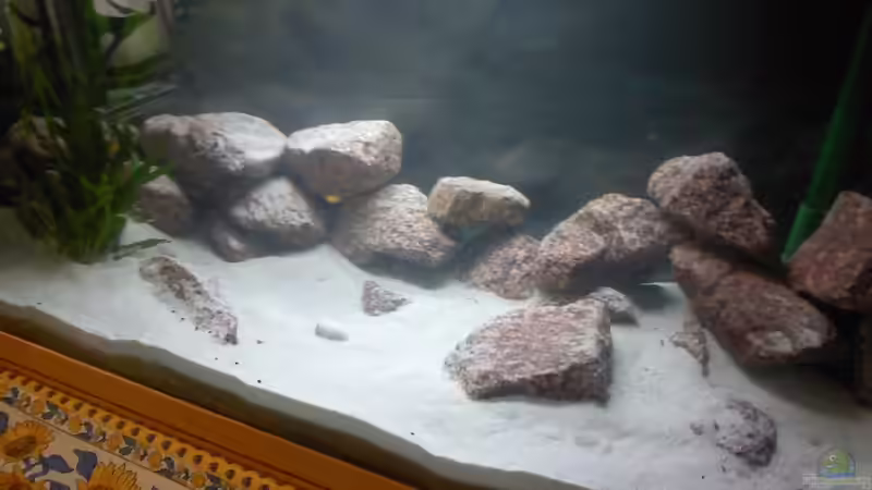 Aquarium Nkatha Bay von Shart (2)