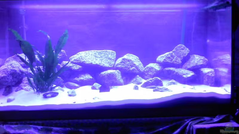 Aquarium Nkatha Bay von Shart (4)