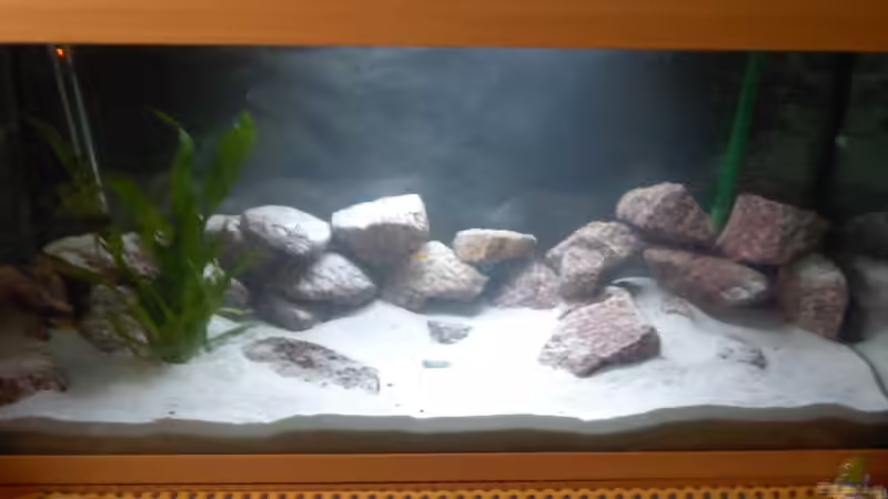 Aquarium Nkatha Bay von Shart (5)