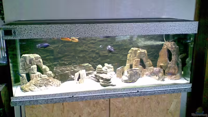 Aquarium Nkhata Bay von Torsten Bullmahn (3)