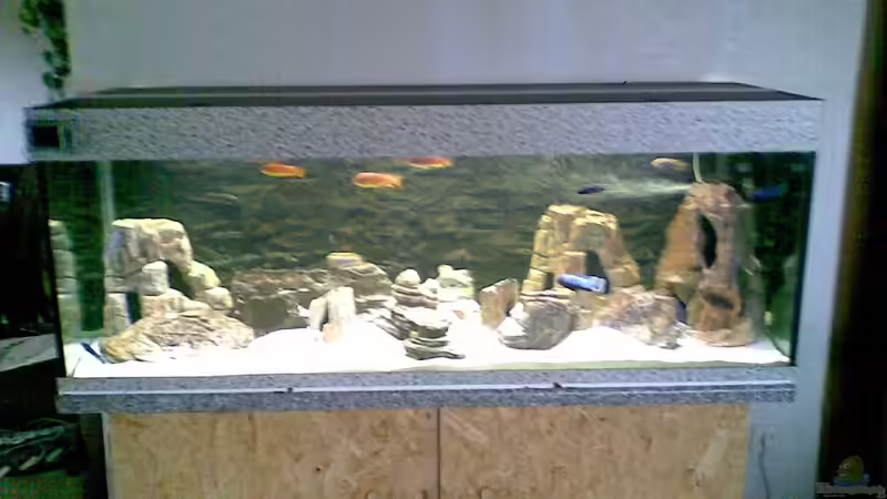 Aquarium Nkhata Bay von Torsten Bullmahn (4)