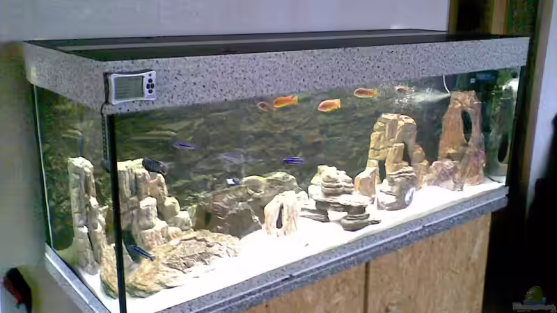 Aquarium Nkhata Bay von Torsten Bullmahn (5)