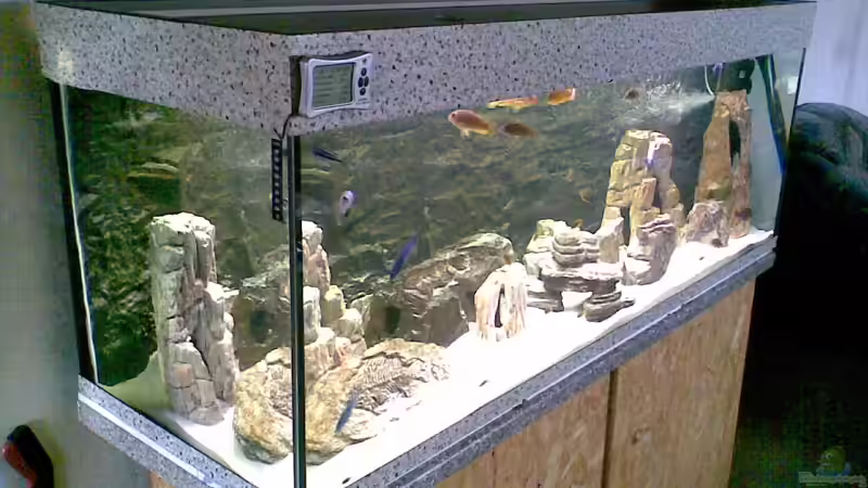 Aquarium Nkhata Bay von Torsten Bullmahn (6)