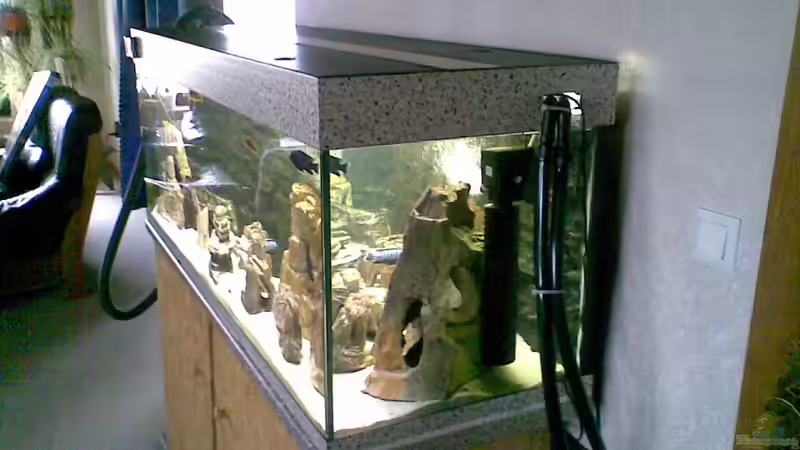 Aquarium Nkhata Bay von Torsten Bullmahn (7)