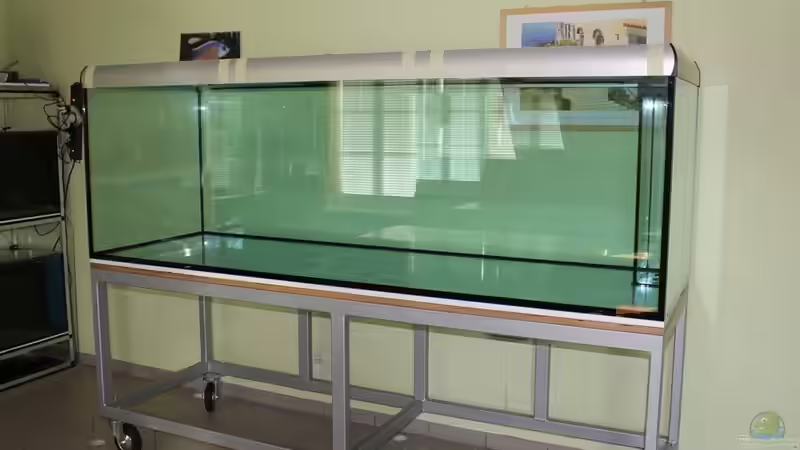 Aquarium Non Mbuna -1600 von Vision112 (3)