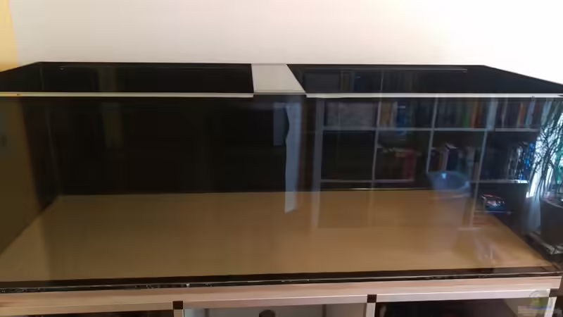 Aquarium NonMbuna by Tobi von TK (5)