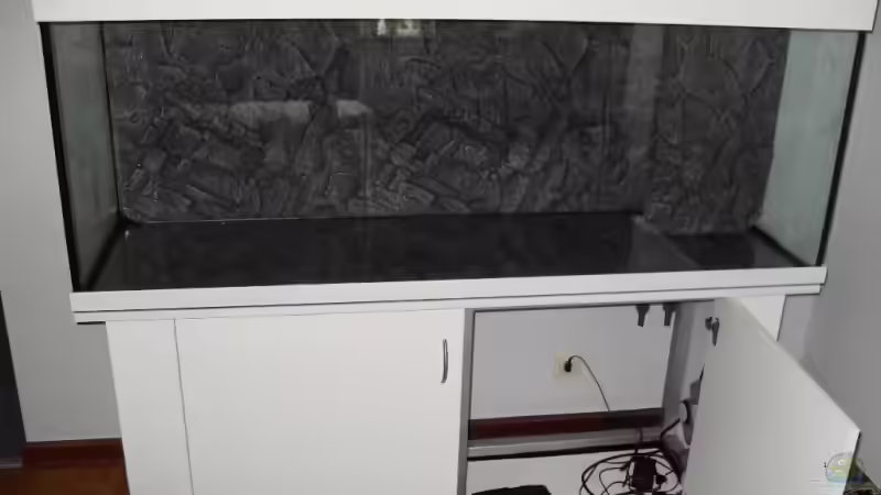 Aquarium NonMbuna-Style (aufgelöst) von Dr. Manhattan (2)