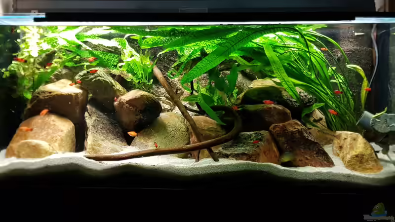 Aquarium Oh, wie schön ist Panama von naturalR (3)